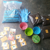 bercocok-tanam-hobi-para-pecinta-lingkungan