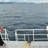 gunakan-sandal-jepit-presiden-jokowi-mancing-di-raja-ampat