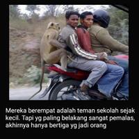 sahabat-karib