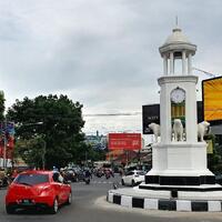 potret-maung-yang-mirip-anjing-laut-di-3-lokasi-di-bandung