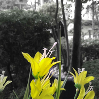 moto-g5s-plus-sanders---unleash-your-creativity