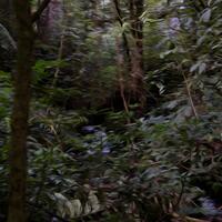 alun-alun-nikonian---part-14