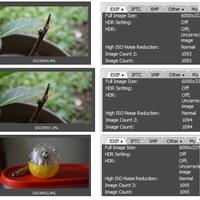 new-pendopo-sony-alpha---part-2