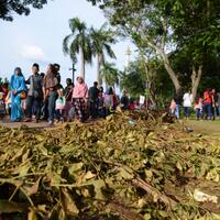 pembenahan-rumput-monas-tak-keluarkan-dana