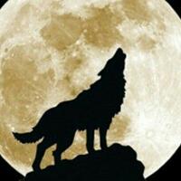 fenomena-bulan-serigala