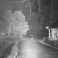 alun-alun-nikonian---part-14