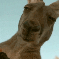 dilarang-upload-foto-pacaran-fakta-setelah-upload-menyakitkan