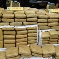 pemilik-13-ton-ganja-kabur-ke-hutan-aceh