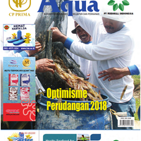 free-magazine-silakan-download-update-terus