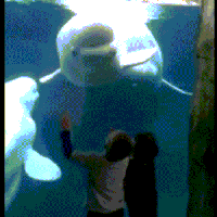 keren-orang-ini-membuat-rumah-dari-air-ini-penampakkannya