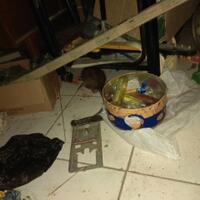 post-image