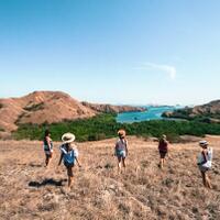 what-to-do-and-where-to-dive-in-komodo