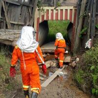 gunakan-pakaian-khusus-cari-sarang-lebah-pembunuh-hasilnya-nihil