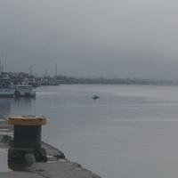 buaya-sungai-mentaya-hantui-warga-sungai-paring