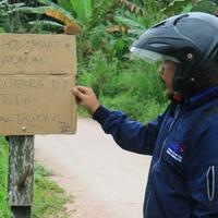 pelintas-terancam-diserang-lebah-jalan-ini-terpaksa-ditutup