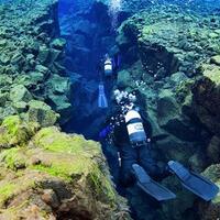 6-temuan-menakjubkan-di-dasar-laut-nomor-3-mencengangkan