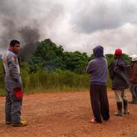 berburu-lebah-pembunuh-warga-dan-petugas-bakar-ban