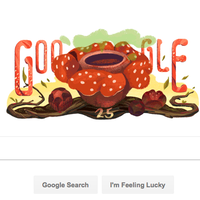 google-doodle-rayakan-ulang-tahun-ke-25-rafflesia-arnoldii