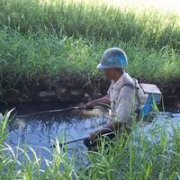 mengenal-asal-mula-sumpit-dan-ragam-jenisnya