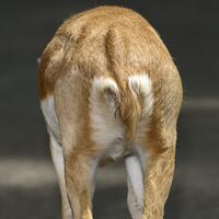 alun-alun-nikonian---part-14