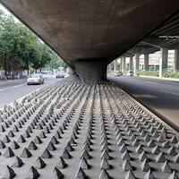 begini-cara-nagera-maju-memperlakukan-gelandangan