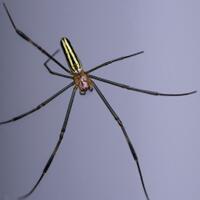 alun-alun-nikonian---part-14