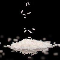 enggar-tahap-pertama-pemerintah-akan-impor-500000-ton-beras