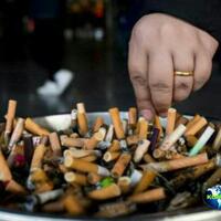 bagi-perokok-yang-ingin-paru-kamu-bersih-mulailah-mengonsumsi-9-jenis-makanan-ini