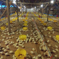 sharing-foto-bersama-quotghost-photography-communityquot-komunitas-fotografi-hantu