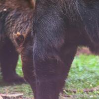 alun-alun-nikonian---part-14