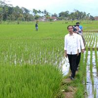 presiden-mengapresiasi-implementasi-program-padat-karya-tunai