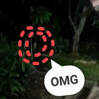 post-image