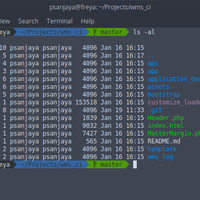 percantik-tampilan-terminal-kamu-dengan-powerline