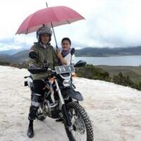 kuda-besi-yang-dinaiki-presiden-jokowi