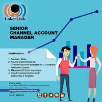 senior-channel-account-manager