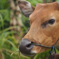 rumah-olympus---part-3