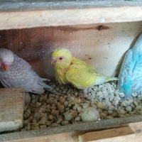 sharing-parkit-yuk---part-1