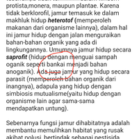 jangan-asal-makan-saja-ini-beberapa-hal-yang-anda-harus-ketahui-tentang-jamur