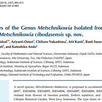 kenalan-dulu-sama-spesies-khamir-baru-asli-indonesia-dari-cibodas