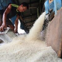 beras-impor-disebut-tidak-laku-di-sulut