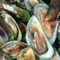 keracunan-kerang-hijau-32-warga-cirebon-dibawa-ke-puskesmas