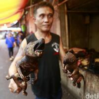 soal-tradisi-bakar-anjing-di-tomohon-polisi-itu-kearifan-lokal