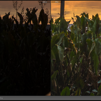 alun-alun-nikonian---part-14