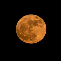 fenomena-super-blue-blood-moon-hadir-31-januari