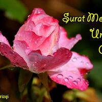 love-letter-2-surat-mesra-untuk-cinta