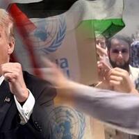 trump-sebut-negara-yang-tolak-yerusalem-ibu-kota-israel-musuh-as-indonesia-termasuk
