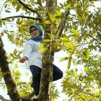 alasan-bupati-lebak-panjat-pohon-durian-milik-warga