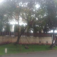 dukung-kadernya-hadapi-proses-hukum-pan-sepenuhnya-percaya-integritas-zumi-zola