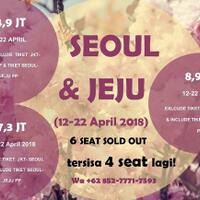 open-trip-korea---april---cherry-blossom