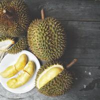 bikin-ngiler-10-olahan-durian-dari-yang-manis-sampai-asin-gurih